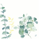 Serviet, Dunisoft, 40x40cm, "Spire", Duni, (720 stk.) - Middagsserviet, 40x40cm, Dunisoft, "Spire", Duni, (720 stk.)