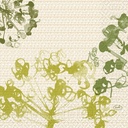 Serviet, 3-lags, 33x33cm, "Green Umbles", Duni, (500 stk.) - Serviet, 3-lags, 33x33cm, "Green Umbles", Duni, (500 stk.)