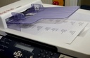 A4 etiketter, 9,9x3,4cm, Xerox, A4 KS laser, 003R96296, (100 ark = 1600 etiketter.) - Xerox 003R96296