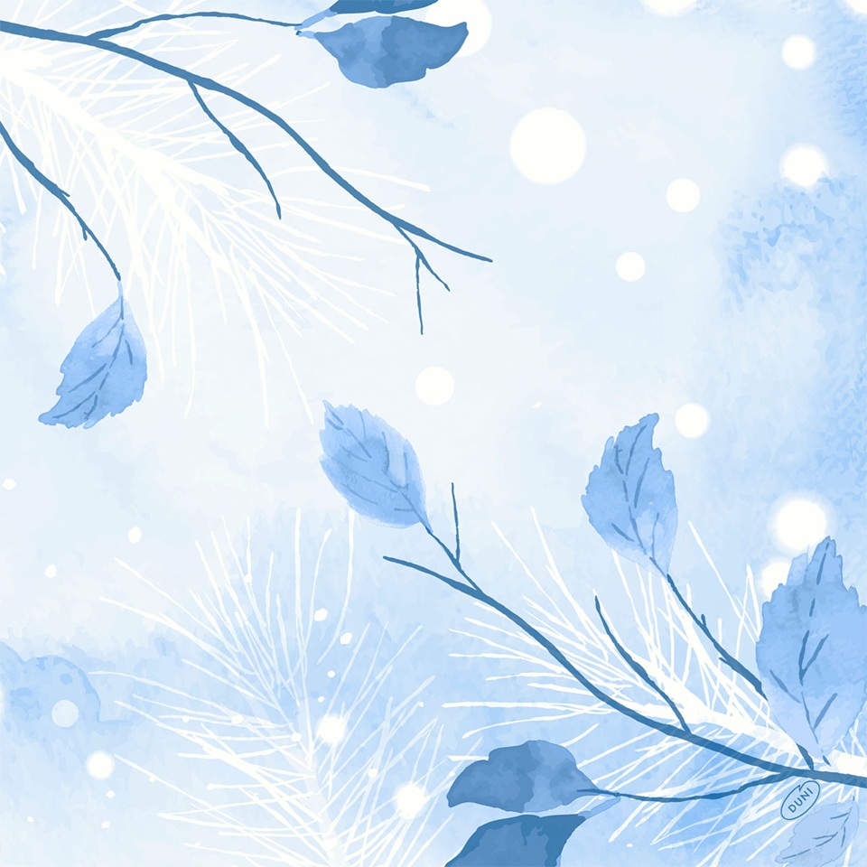 Serviet, Dunisoft, 40x40cm, "Frosted Winter, Duni, (360 stk.) - Serviet, Dunisoft, 40x40cm, "Frosted Winter, Duni