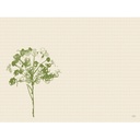 Dækkeserviet, bio, Dunicel, 30x40cm, "Green Umbles", Duni, (500 stk.) - Dækkeserviet, bio, Dunicel, 30x40cm, "Green Umbles", Duni