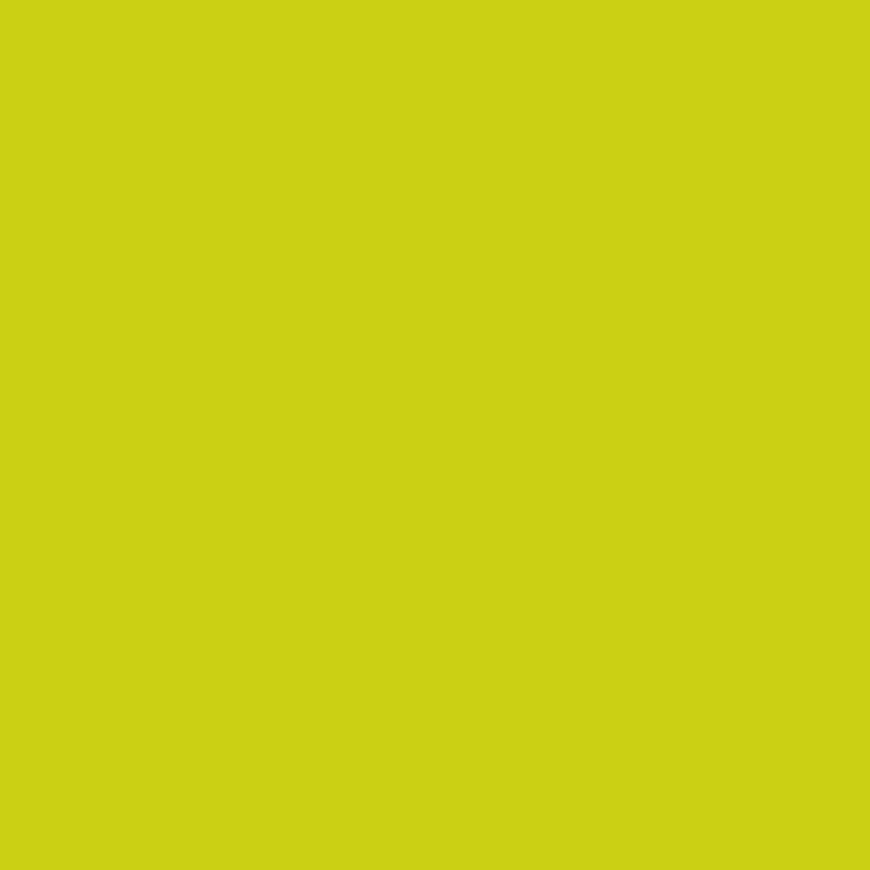 Serviet, bio, Dunisoft, 20x20cm, kiwi, Duni, (2880 stk.) - Serviet, bio, Dunisoft, 20x20cm, kiwi, Duni