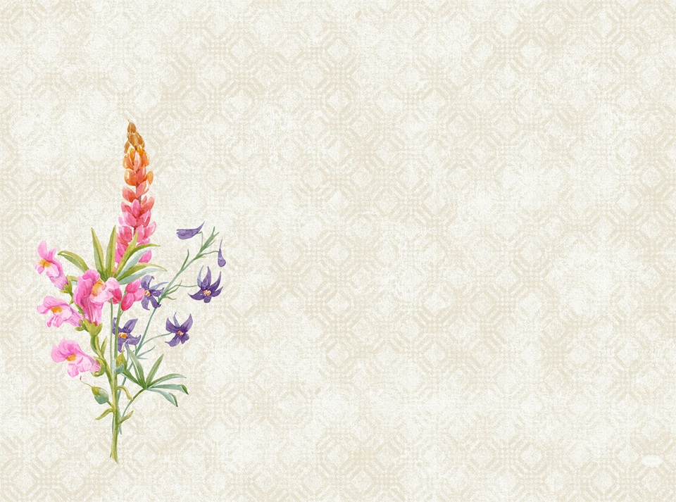 Dækkeserviet, Dunicel, 30x40cm, Floret, Duni, (500 stk.) - Dækkeserviet, Dunicel, 30x40cm, Floret, Duni