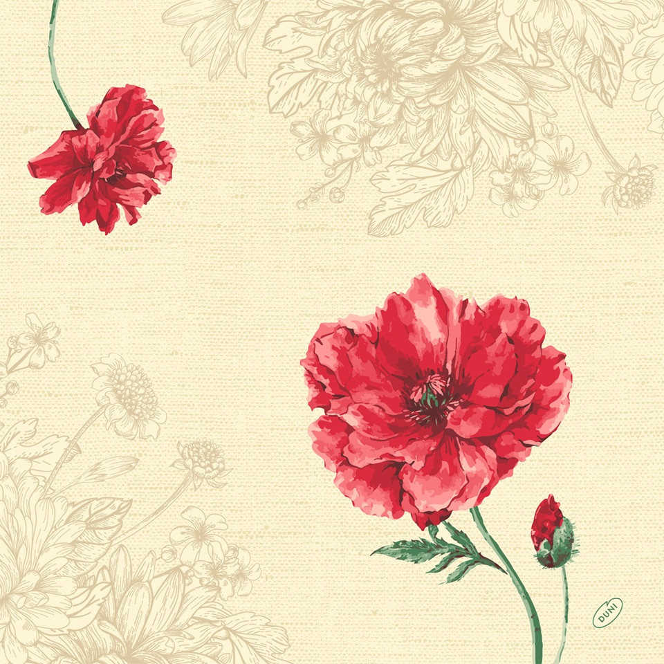 Serviet, Dunisoft, 40x40cm, "Monique", Duni, (720 stk.) - DUNI 202534   Dunisoft® serviet 40 x 40 cm Monique
