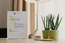 Akryldisplay, A4, med magnetisk lukning, Peleman, (1 stk.) - Peleman WDKSECAP001.webp